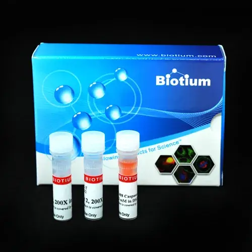[GEN-Biot30072] NucView 488 and RedDot 2 Apoptosis and Necrosis Kit